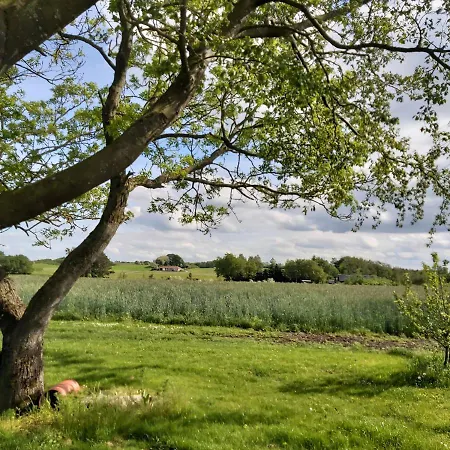 Lyngvej 16 Bed & Breakfast Skanderborg