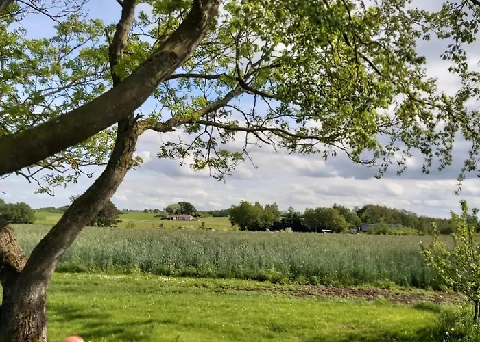Lyngvej 16 לינה וארוחת בוקר סקנדרבורג